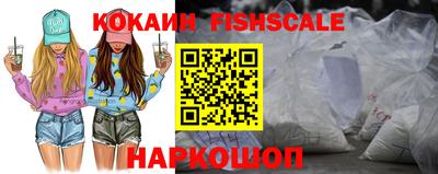 спиды Гатчина