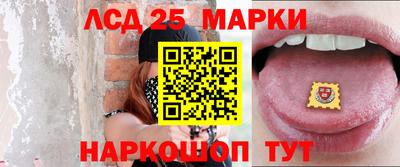 спиды Гатчина