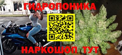 спиды Гатчина